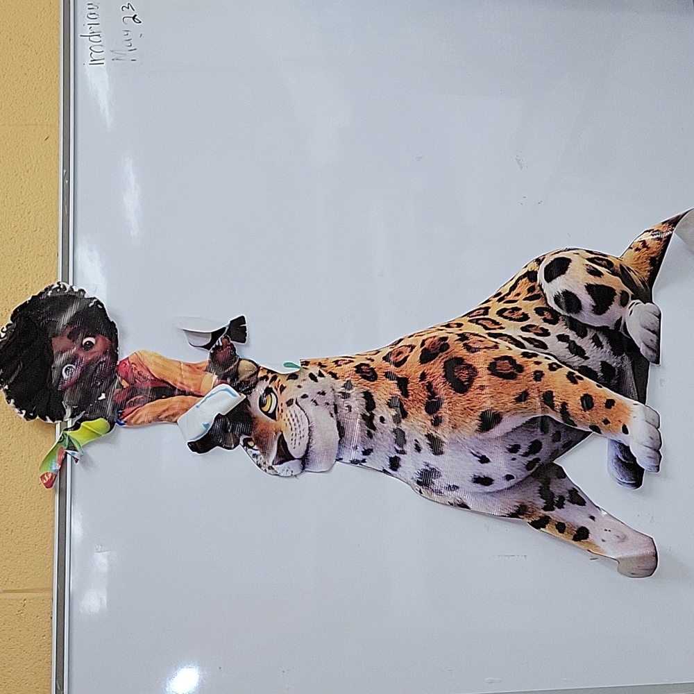 ENCANTO VINYL CHARACTER'S. Used to decorate classroom. Excellent condition ๐ - Picture 13 of 13